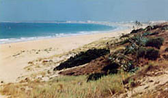 Playa virgen del Novo Sancti Petri